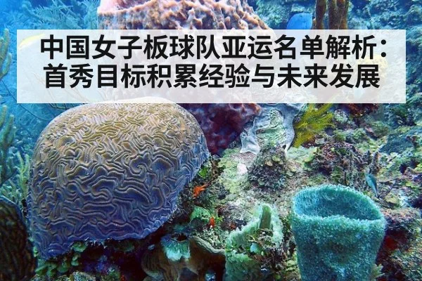 中国女子板球队亚运名单解析：首秀目标积累经验与未来发展